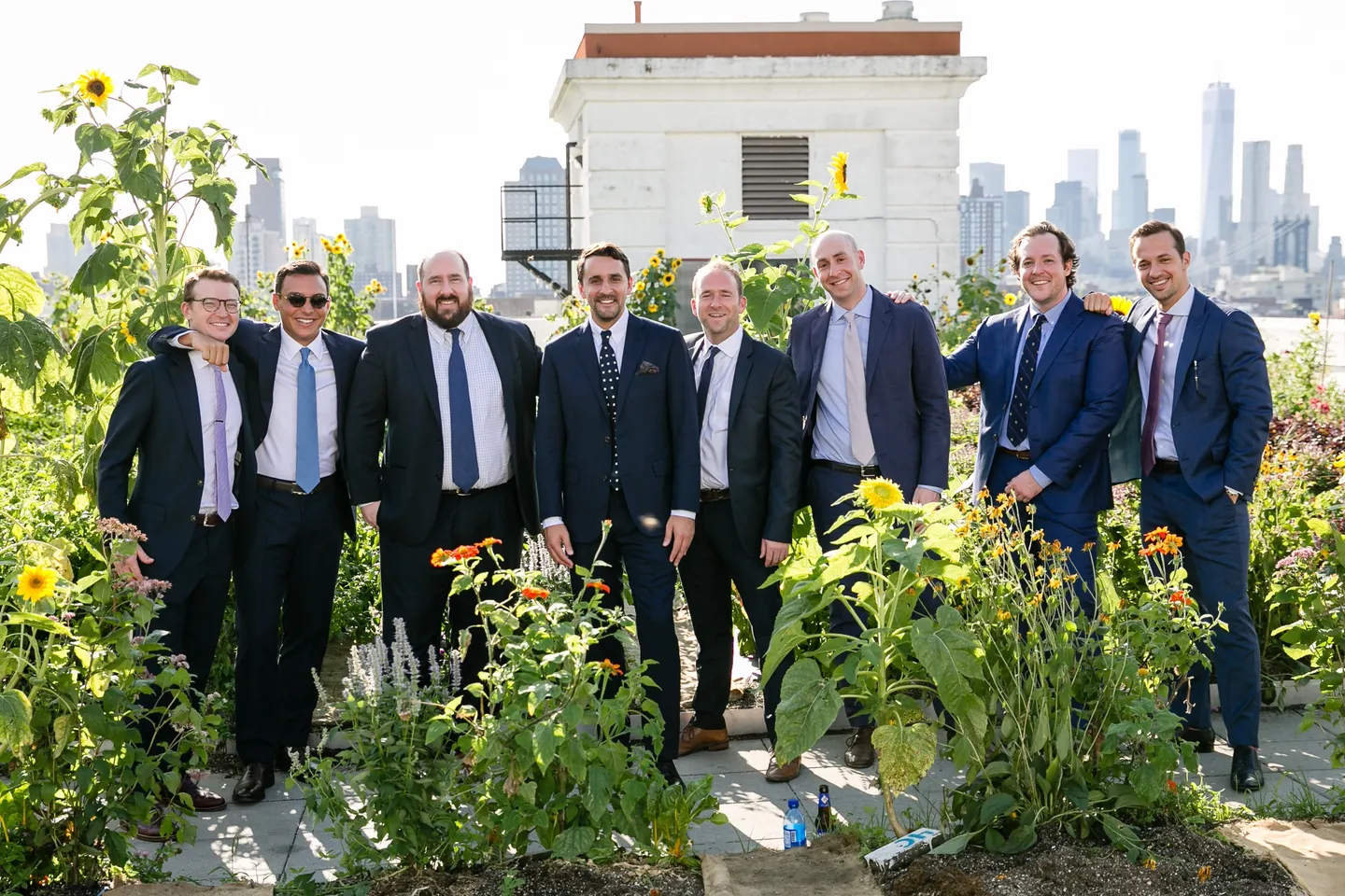 The groom and groomsmen in suits stand among the crops with the skyline behind
