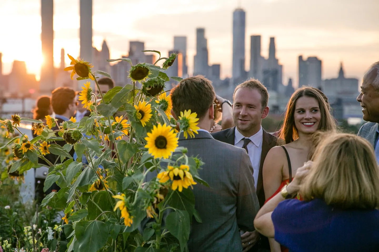 Guests talk in golden sunset light, sunflowers and skyline silhouetted behind them