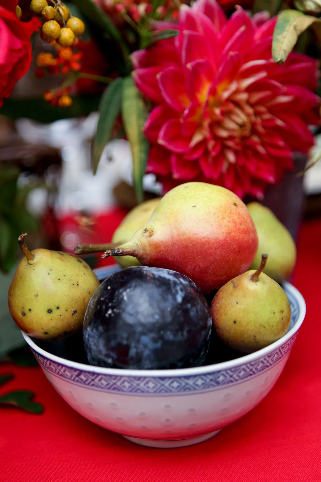 Pears and plums in a blue and white bowl among red dahlias