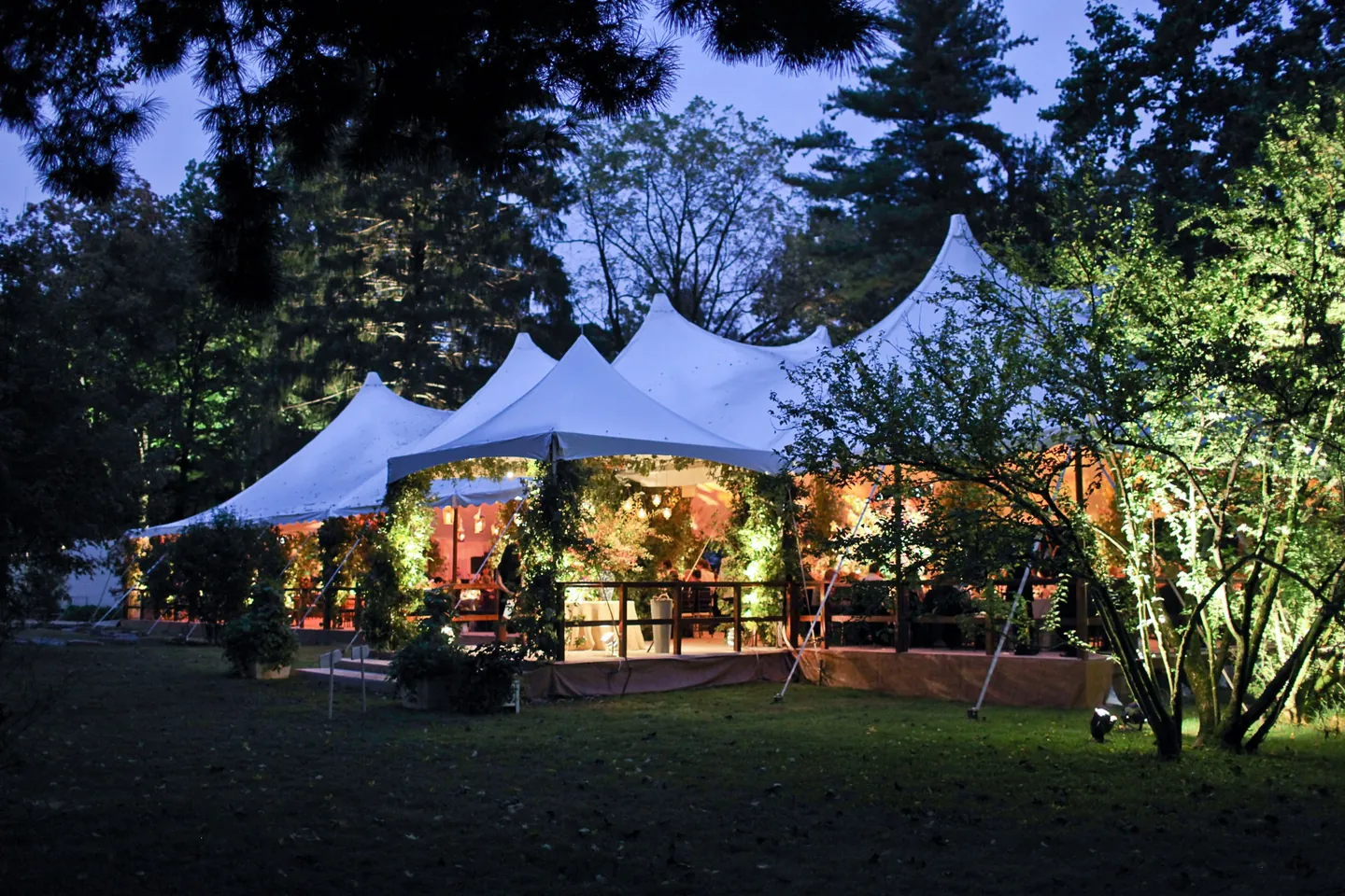 White tents glow among the dark trees at dusk