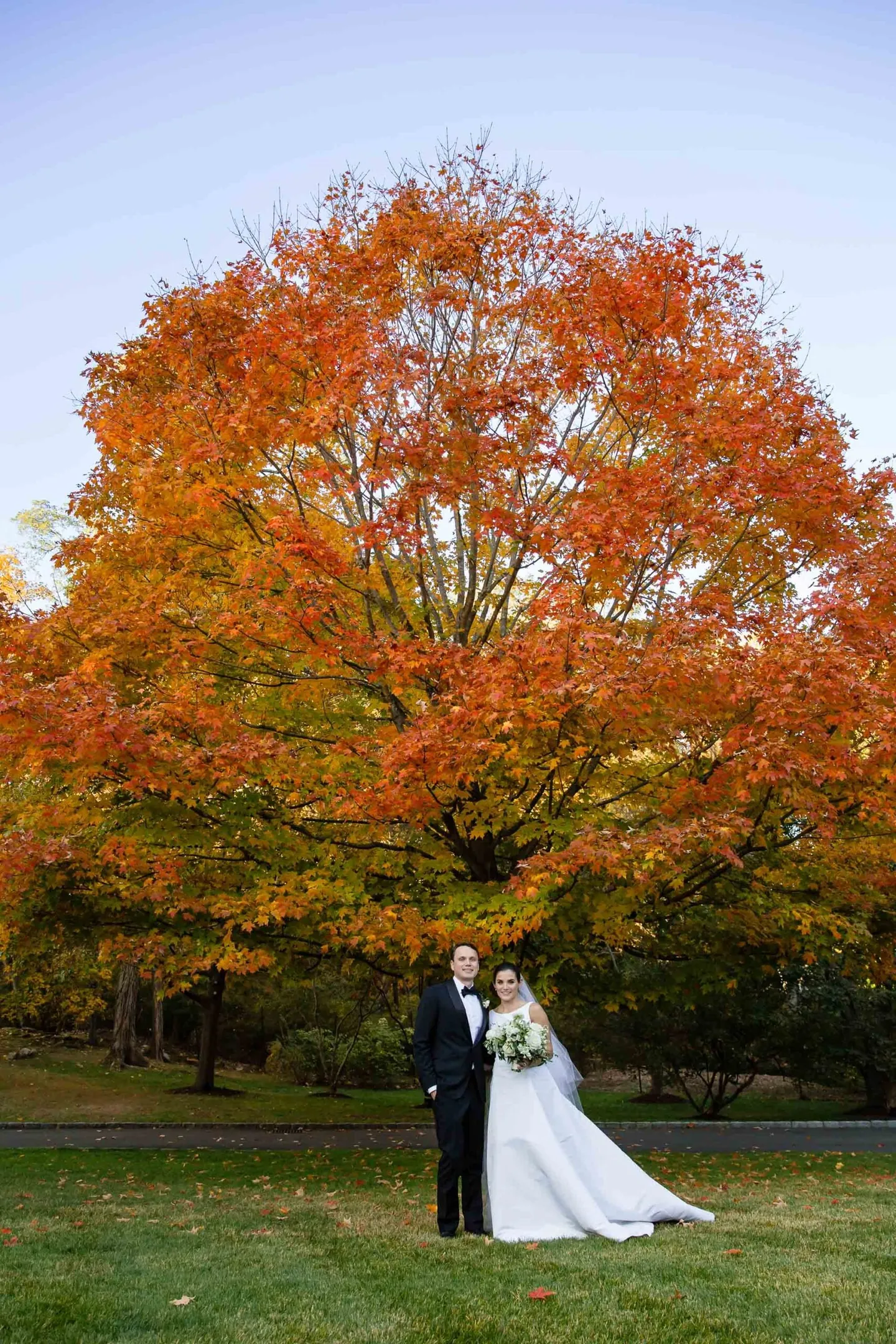 Angie and Matt stand small beneath a blazing orange maple on an open lawn