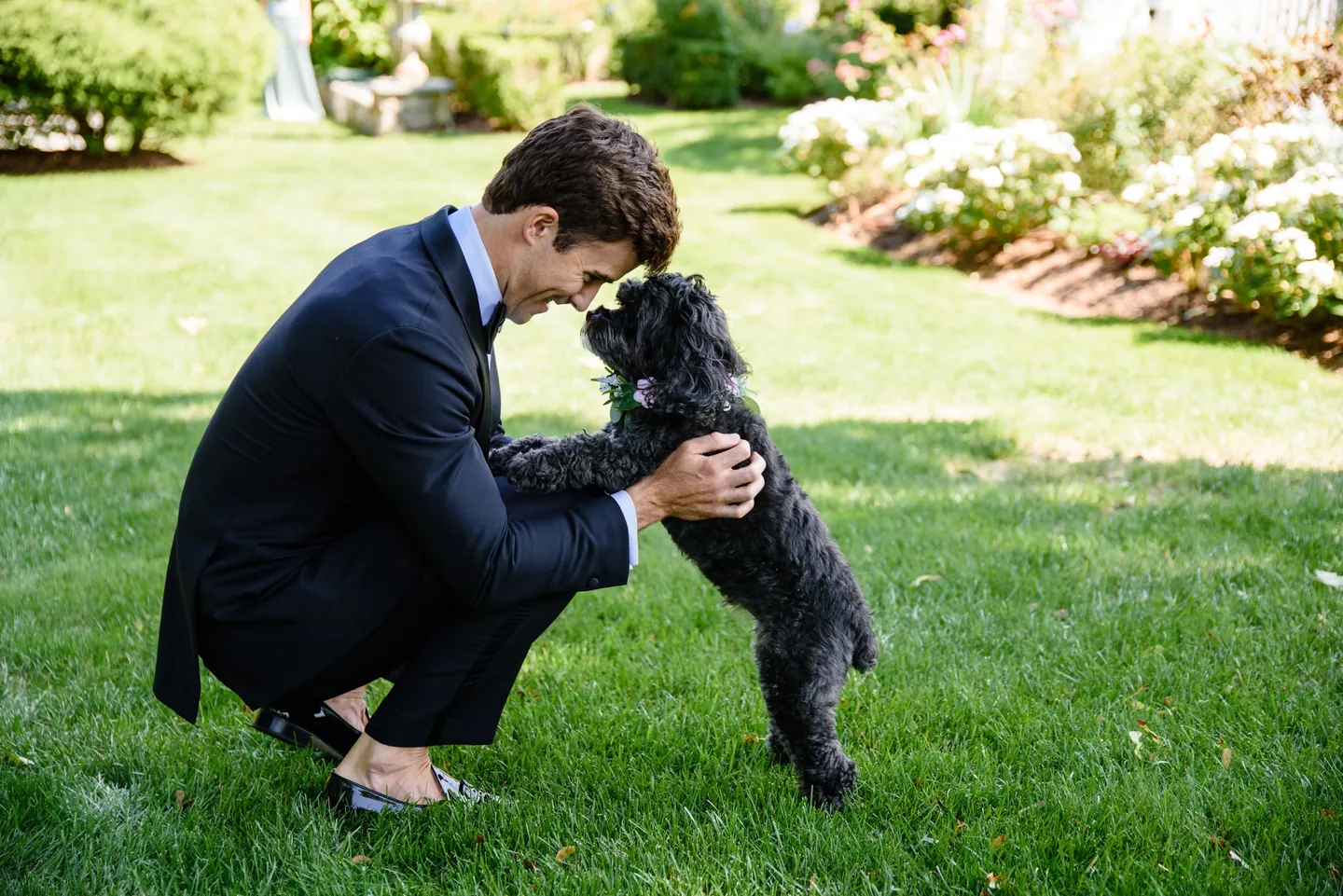 The groom crouches on the lawn as a small black dog jumps up to greet him