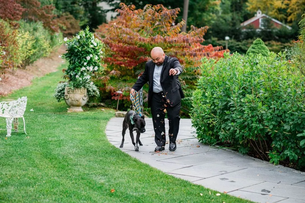 A guest leads a dark dog down the garden path as petals scatter, red sumac behind