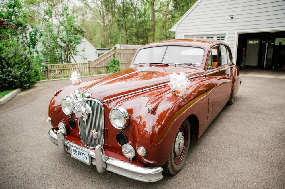 Vintage burgundy sedan with white ribbons on the grille parked in a leafy driveway