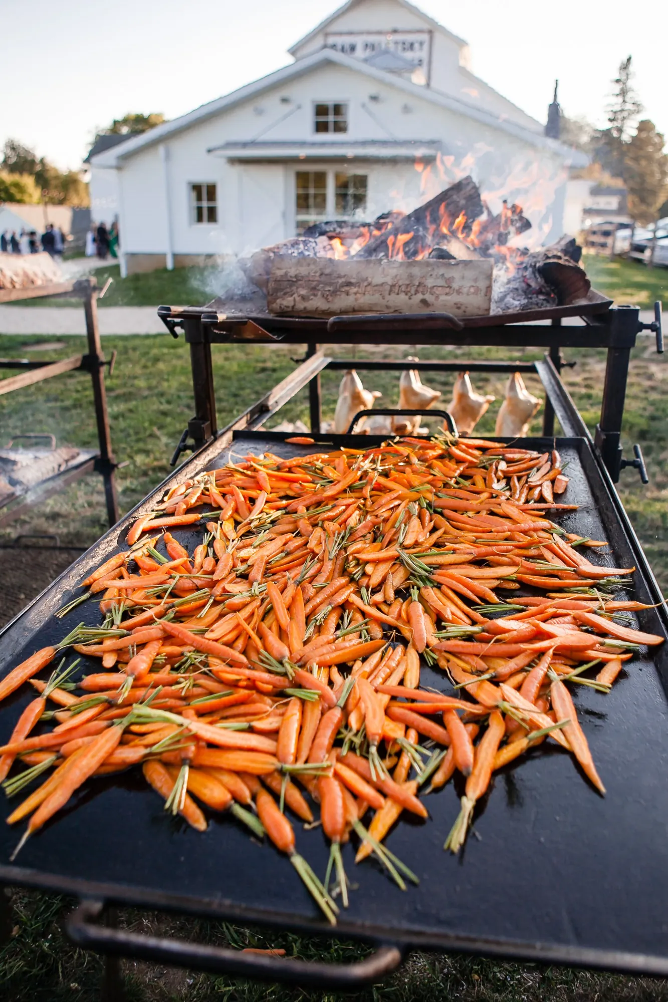 Rows of whole carrots roast over an iron grill in front of a white farmhouse