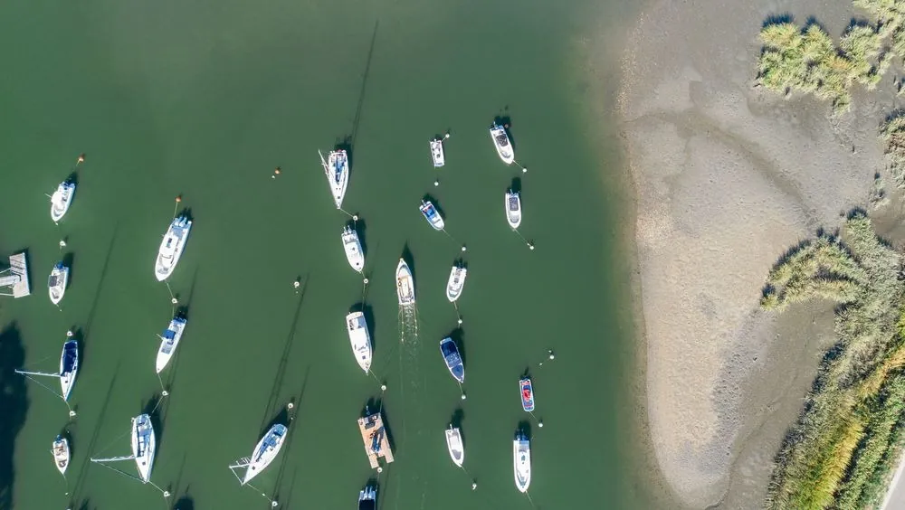 Aerial view of sailboats moored in rows off a sandy marsh edge in the harbor