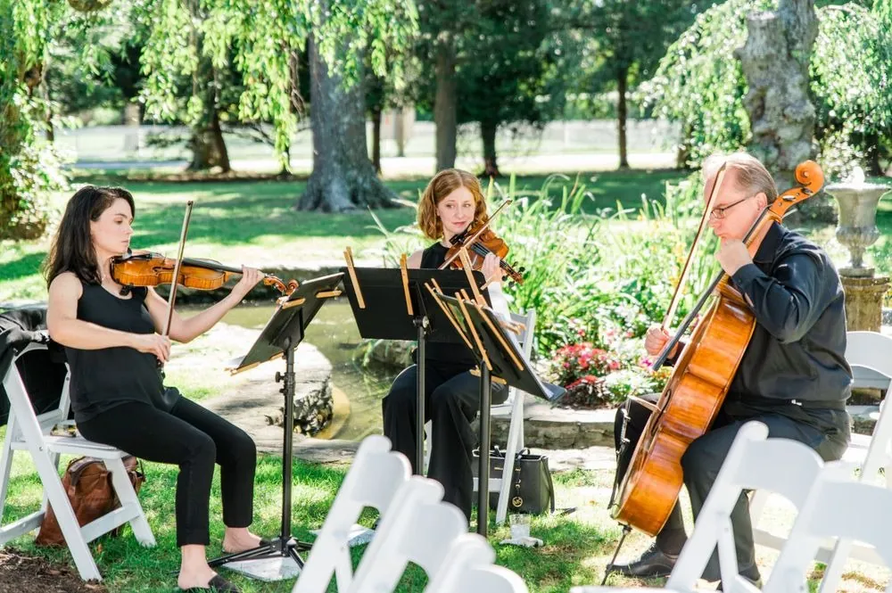 A string trio plays under the trees as guests arrive for the ceremony