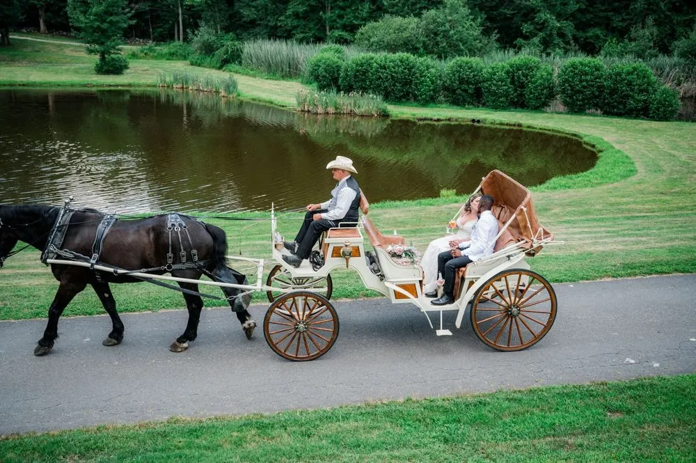 A black horse pulls the couple's white carriage along the pond on a paved path