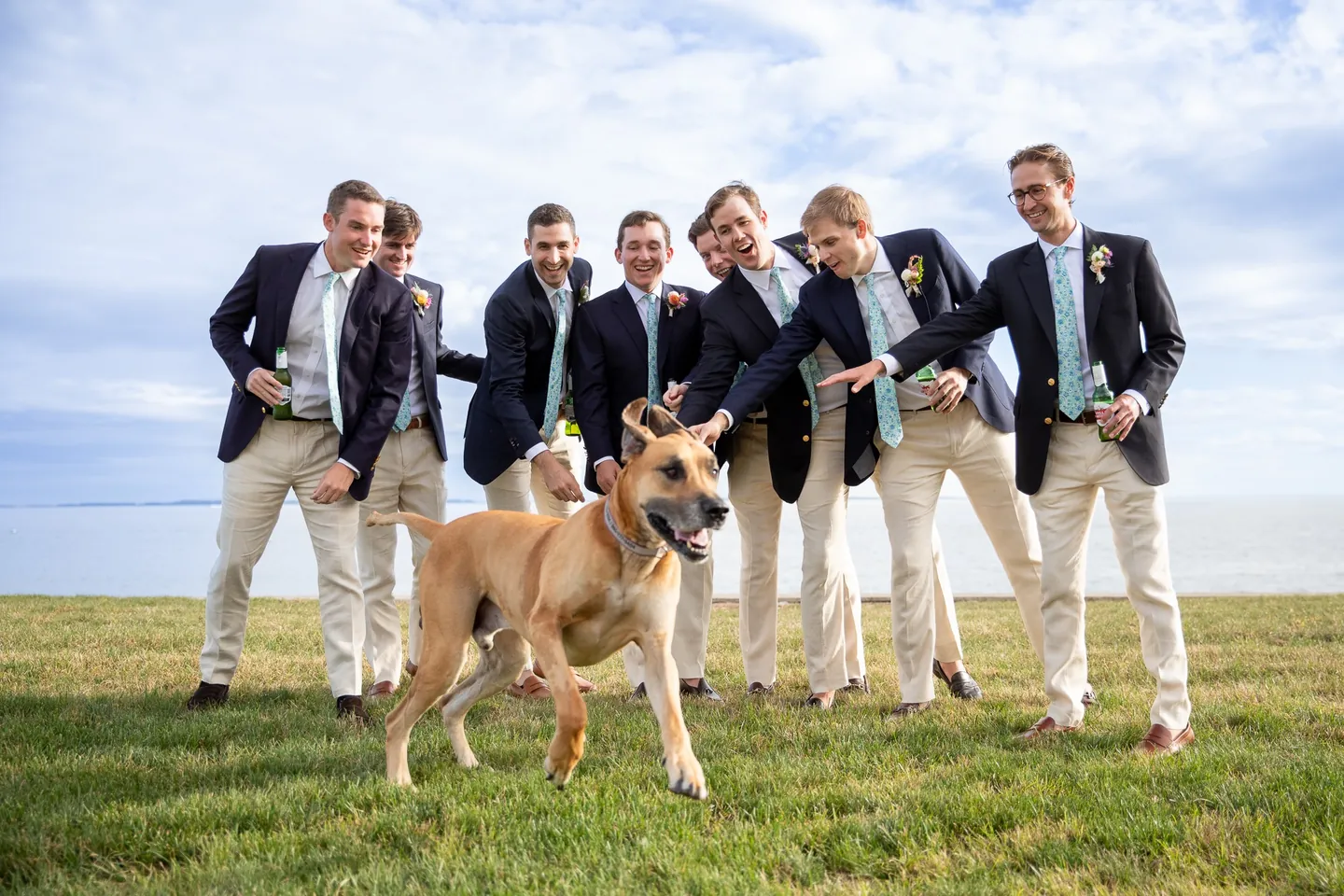 Groomsmen in navy blazers and khakis laugh as a big tan dog runs through them by the water