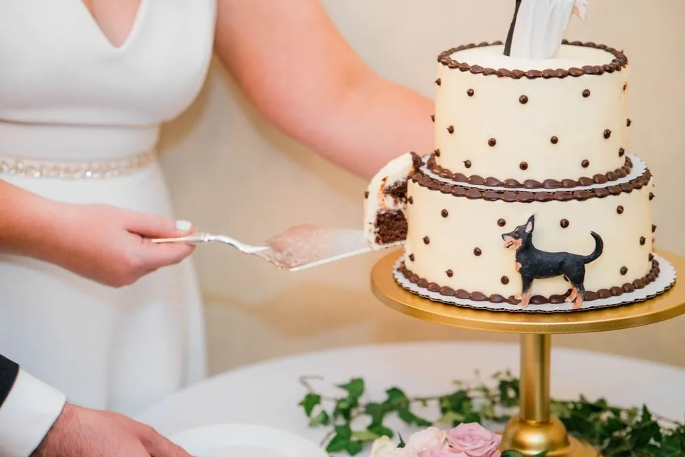 A slice lifted from a polka dot cake topped with a small black dog figure