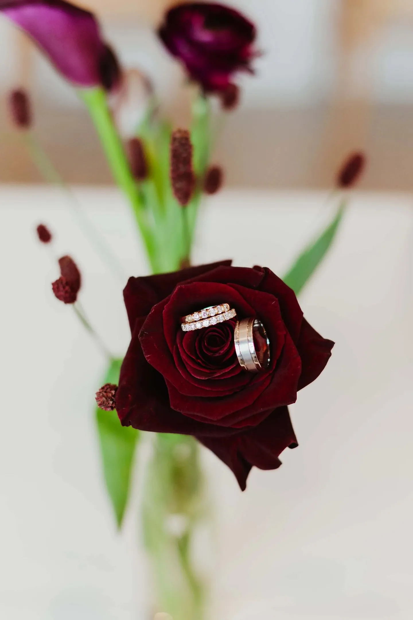 A deep red rose and burgundy buds in a slim vase on a white table